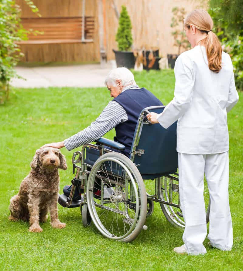 home health agency services